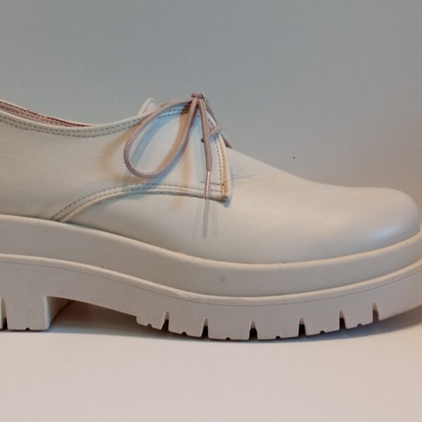 Shoe